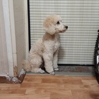 Работа 1