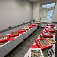 Организация праздников под ключ