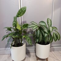 Работа 2